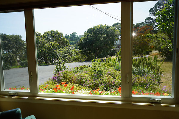 dellwoodsanrafael - 46 dellwoodsanrafael - 46