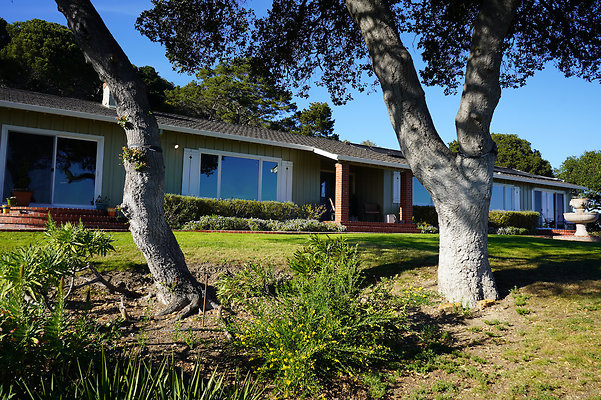 dellwoodsanrafael - 3 dellwoodsanrafael - 3