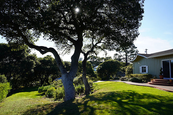 dellwoodsanrafael - 48 dellwoodsanrafael - 48