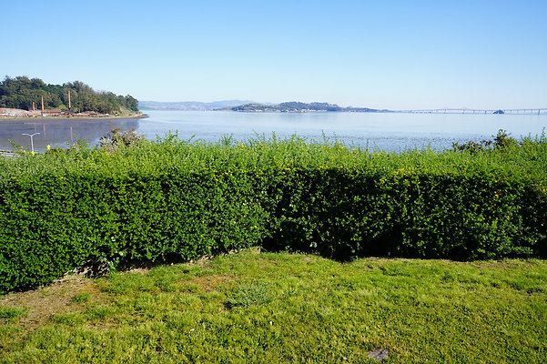 dellwoodsanrafael - 51 dellwoodsanrafael - 51