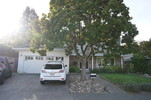 smithpetaluma - 2 smithpetaluma - 2